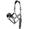 LeMieux Vogue Halter and Leadrope Set